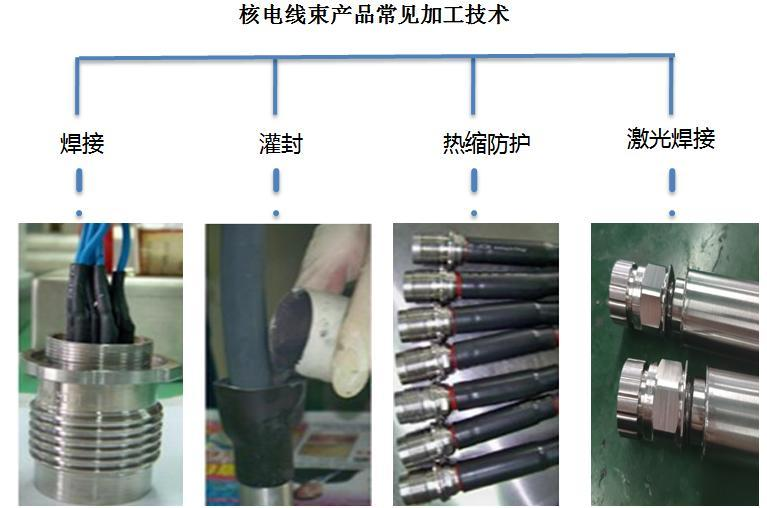 Archived source process photographs associated with a nuclear cable harness record